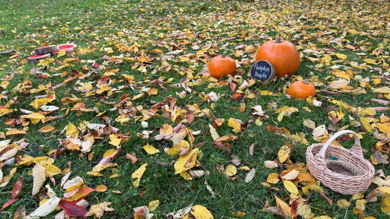 Pumpkin Hoopla at The Firs
